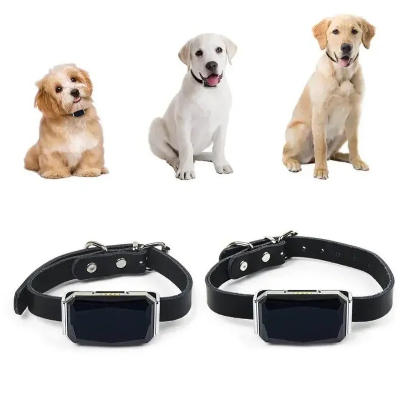 IP67 Waterproof Pet Collar Wifi Light GPS Tracker For Pets Dogs GPS Tracker Kids Personal Locator Anti - Lost Tracking Device - Chic Cart
