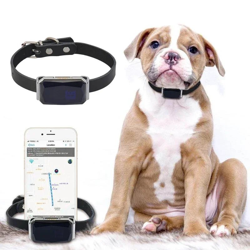 IP67 Waterproof Pet Collar Wifi Light GPS Tracker For Pets Dogs GPS Tracker Kids Personal Locator Anti - Lost Tracking Device - Chic Cart