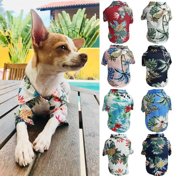 Dog Spring And Summer Thin Shirt Corgi Blue Cat Clothes - Chic Cart