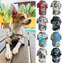 Dog Spring And Summer Thin Shirt Corgi Blue Cat Clothes - Chic Cart