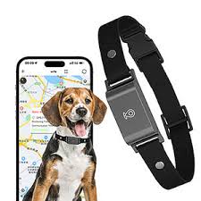 GPS-Tracker für Hunde, wasserdicht, Haustier-Standort, intelligenter Aktivitätstracker, Echtzeit-Tracking, passend für jedes Halsband, Android iOS, universell