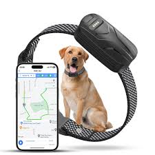 GPS-Tracker für Hunde, wasserdicht, Haustier-Standort, intelligenter Aktivitätstracker, Echtzeit-Tracking, passend für jedes Halsband, Android iOS, universell