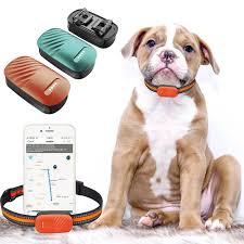 GPS-Tracker für Hunde, wasserdicht, Haustier-Standort, intelligenter Aktivitätstracker, Echtzeit-Tracking, passend für jedes Halsband, Android iOS, universell